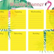 Flamingo Magnetic Weekly Planner | 16 Inch x 12 Inch