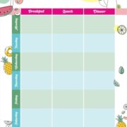 Lemmone Fresh Magnetic Meal Planner | 12 Inch x 16 Inch