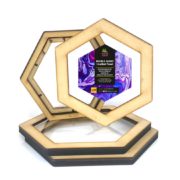 Double Glory Floating Frame | Hexagon | Clear Centre