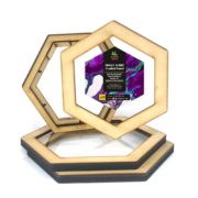 Single Glory Floating Frame |  Hexagon | Clear Centre | Non Porous